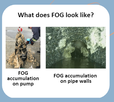 FOG accumulation on a pump and on pipe walls