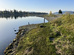 Tyee Spit ʔuxstalis