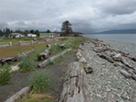 Soft shore rehabilitation at Dick Murphy Park: Soft shore rehabilitation at Dick Murphy Park: